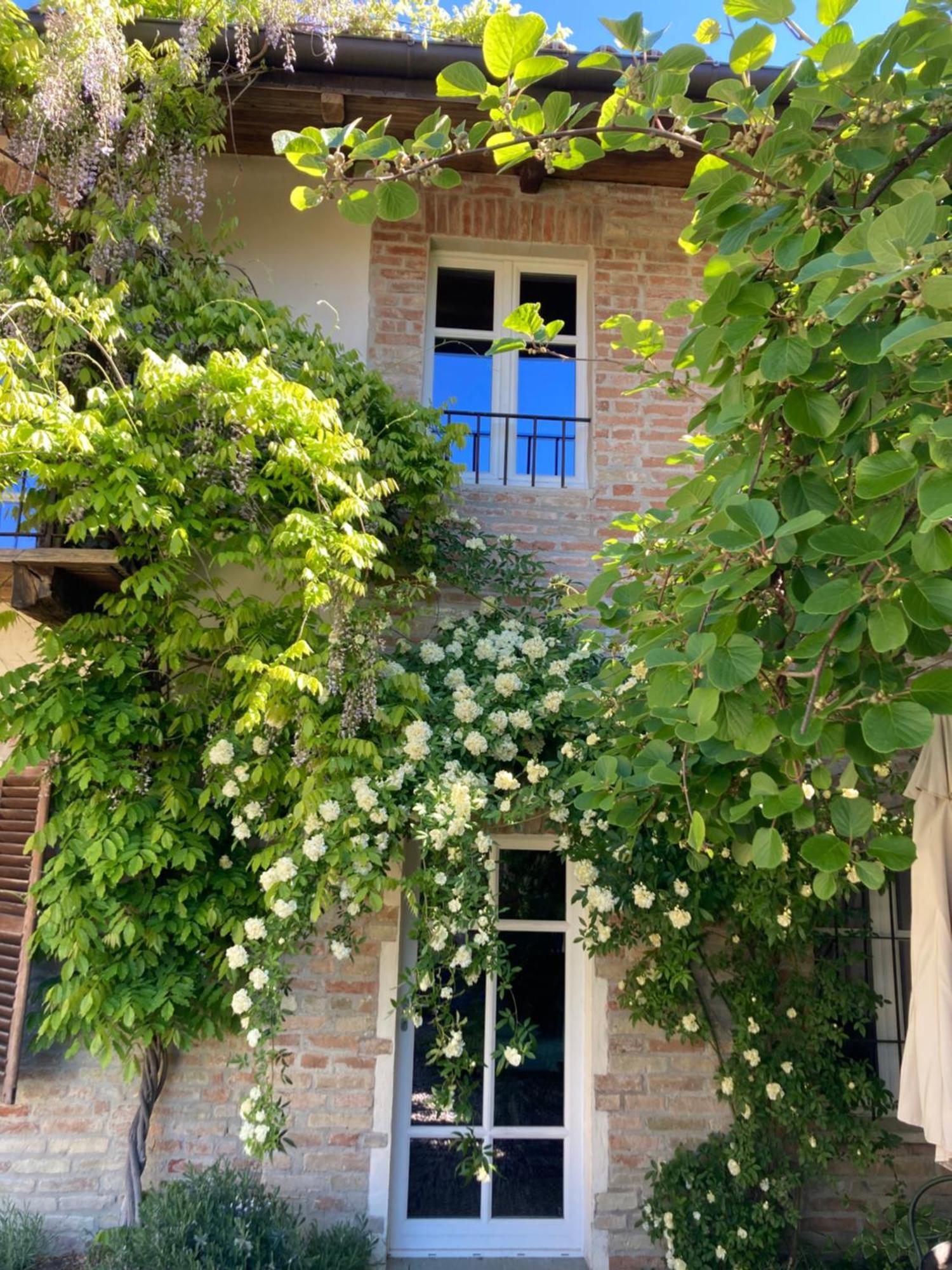 Greeneria Гуарене Экстерьер фото